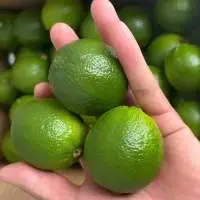 Fresh Seedless Lime