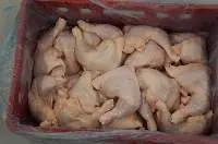 Halal Frozen Chicken Leg Quarters
