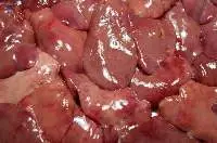 Frozen Grade A+ Chicken Liver