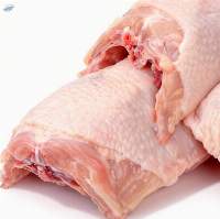 Frozen Grade A+ Frozen Chicken Backs