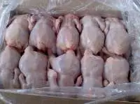 Halal Frozen Whole Chicken Grade A
