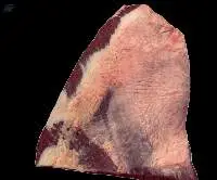 Frozen Boneless Beef Brisket Navel Plate