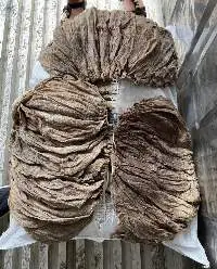 Premium Frozen Beef Omasum Offal