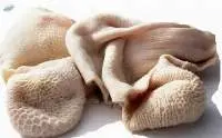 Frozen Beef Honeycomb (Tripe)