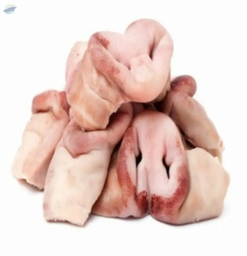 Frozen Pork Snout Meat