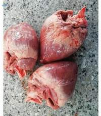 Frozen Pork Heart  