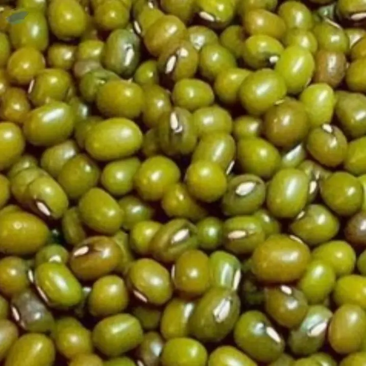 Green Whole Moong Dal