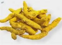 Turmeric Finger