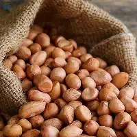 Groundnut