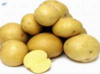 Fresh Raw Potato