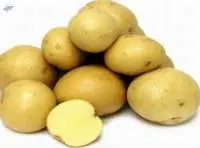 Fresh Raw Potato