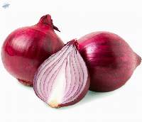 Fresh Red Onion