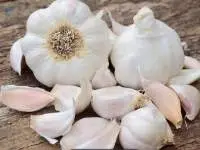 Fresh White Garlic