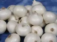 Fresh White Onion