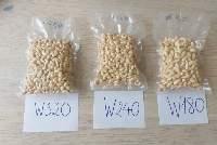 Cashew Nut