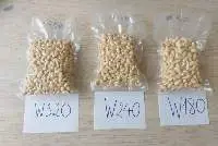 Cashew Nut