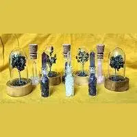 Bottle With Tiny Naturals And Bell Jar Trees