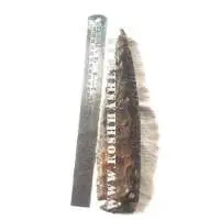 Spear Points 8 To 12 Inch Size