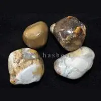 Conglomerate Agate (TGS19)