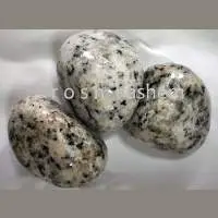 Dalmatian Jasper (TGS20)
