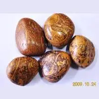Coquina Jasper