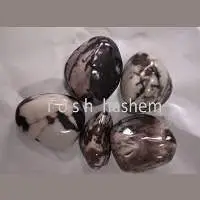 Petrified Jasper (TGS38)
