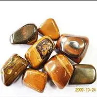 Tiger Eye (TGS50)
