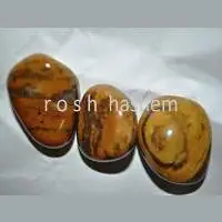 Tiger Jasper (TGS51)