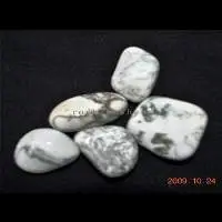 Tree Agate (TGS52)