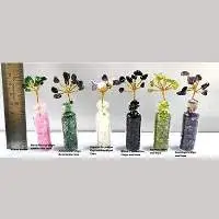 BG155RH (45mm Gem Chips Bottle With Tree On Top)