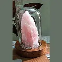 BG162RH (Natural Rose Quartz 7 inch in Bell Jar)