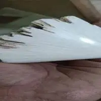 TN1343 (Scolecite 'Natural')