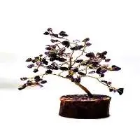 GT282RH (Tree Wood Base Amethyst)