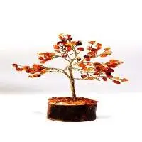 GT284RH (Tree Wood Base Carnelian)