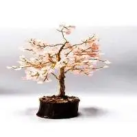 GT289RH (Tree Wood Base 'Enhanced' Rose Quartz)