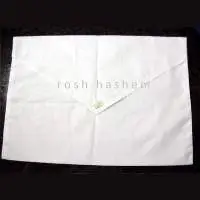 Bag -3