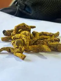 Organic Turmeric