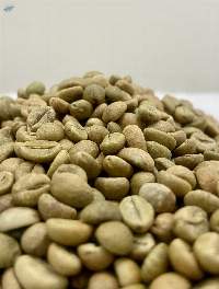 Robusta Coffee Beans
