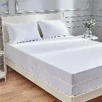 Hypoallergenic Waterproof Mattress Encasement