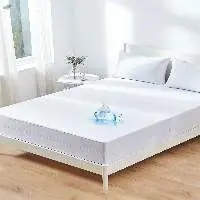 Customized Mattress Protector(Bed Bug) for Hotel