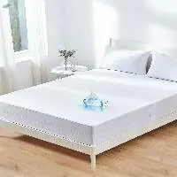Customized Mattress Protector(Bed Bug) for Hotel