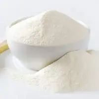 Skimmed Milk Powder