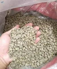 Vietnamese Green Arabica Coffee Beans