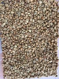 Organic Robusta Coffee