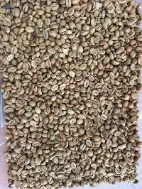 Organic Robusta Coffee