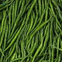 Fresh Green Chilli