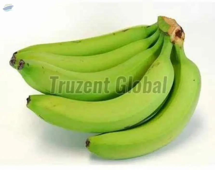 Fresh Green Banana