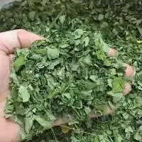Dried Moringa Leaves