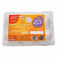 Table Eggs, Plastic Plate, 6 Eggs (L)