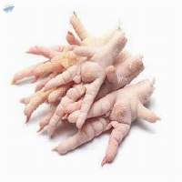 Frozen Chicken Paws - Grade A Export Quality